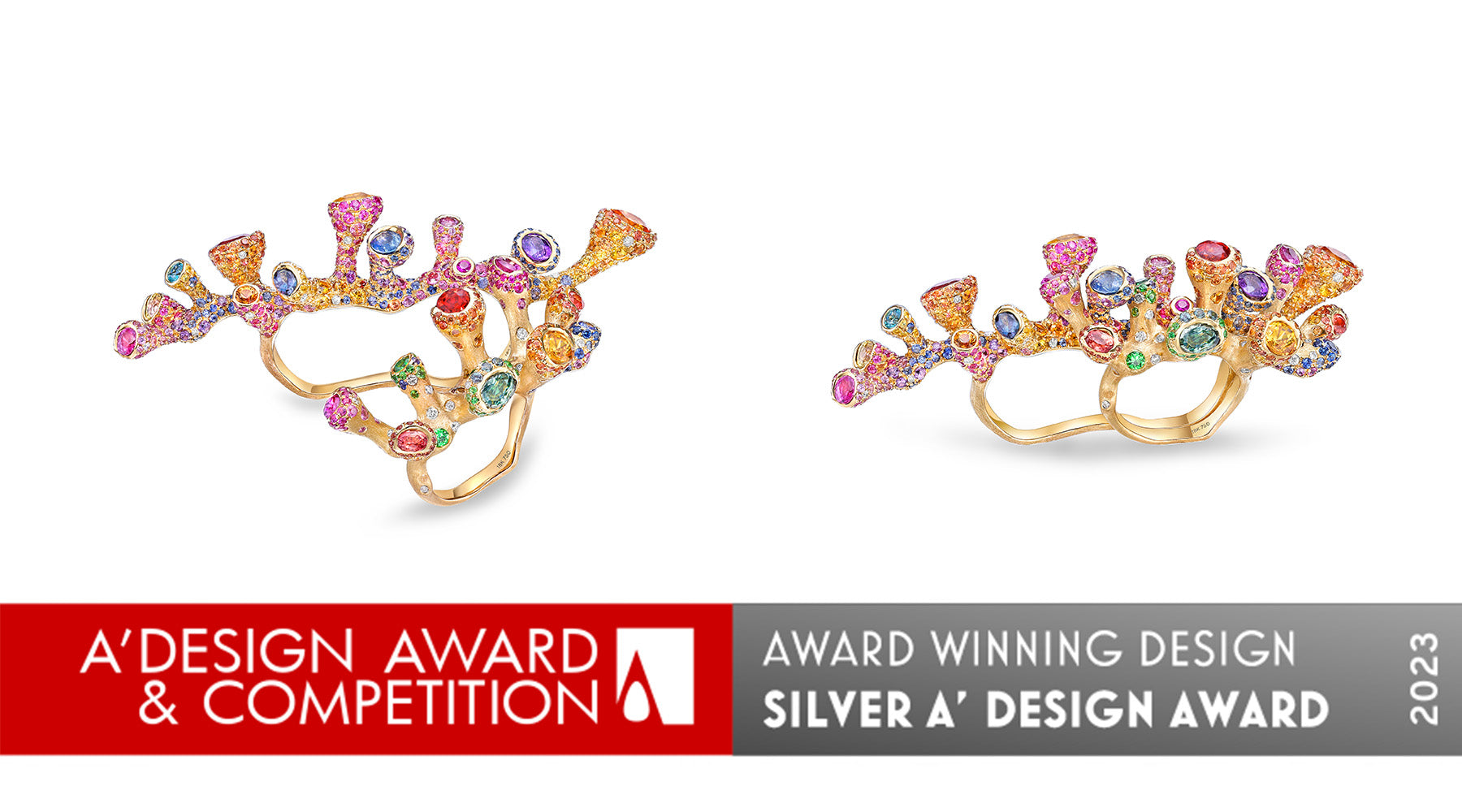 Triumphant Victory: Unveiling Our A Design Award Win!