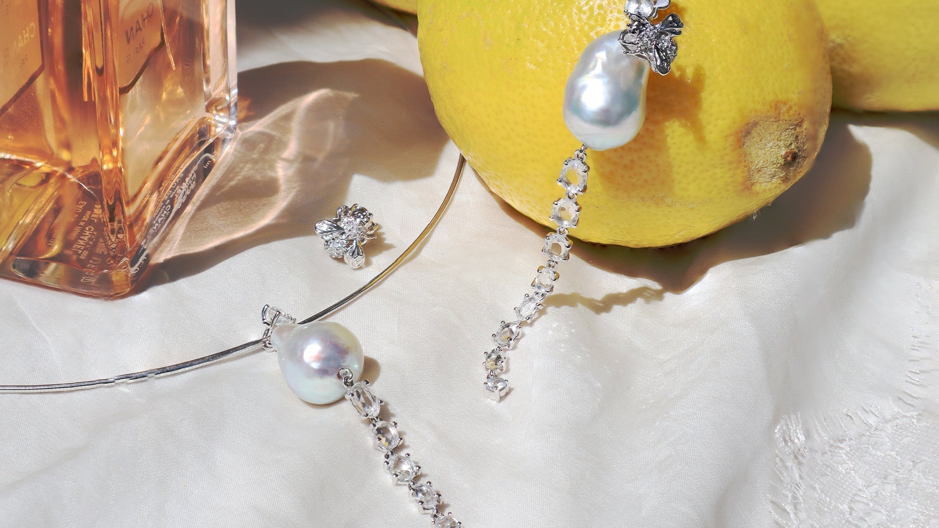 The Diapiary: A Celebration of Nature and Elegance