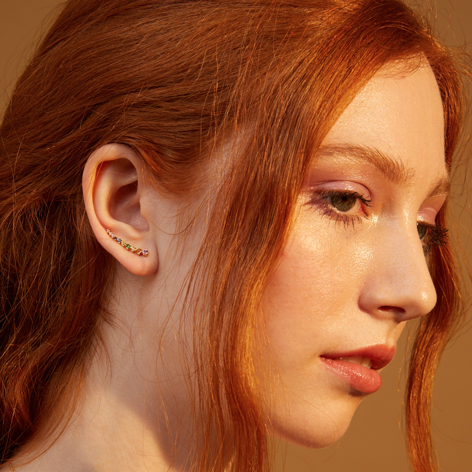 Rounded Up Ear Hook