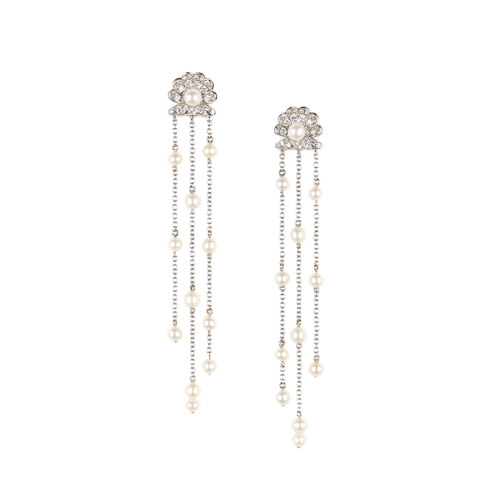 Seashell Earring